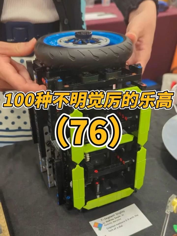 100种不明觉厉的乐高(76)