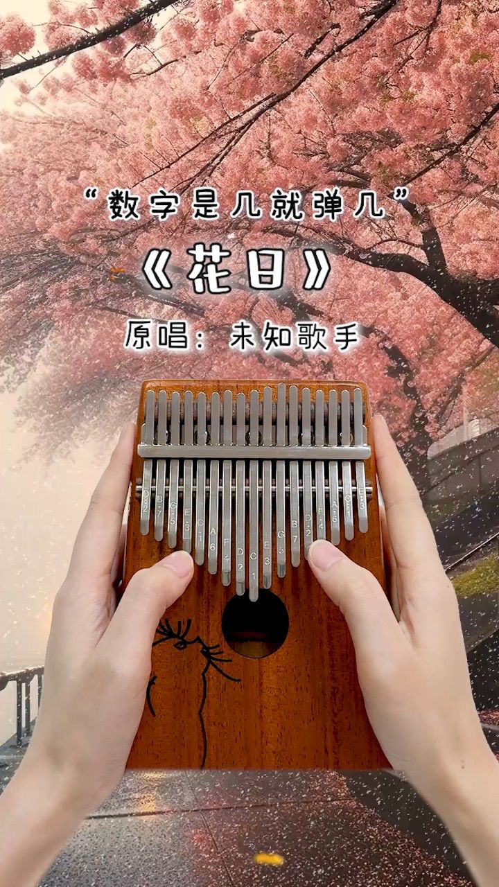 超好听的旋律《花日》卡林巴拇指琴演奏!
