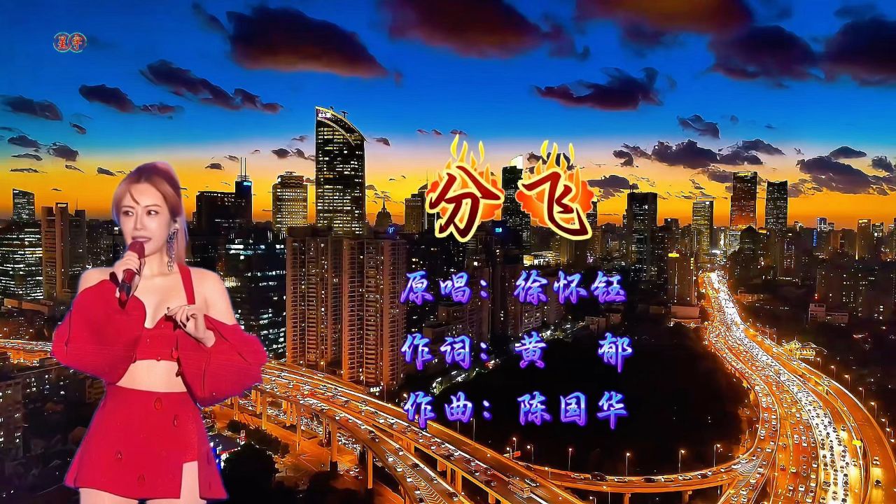 徐怀钰《分飞》怀旧经典90