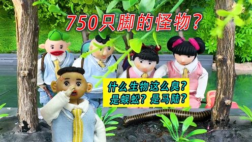 750只脚的怪物？原来是蜈蚣的亲戚！