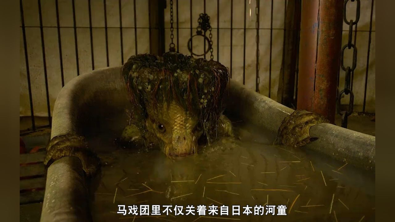 推荐一部非常好看的奇幻电影《神奇的动物在哪里》