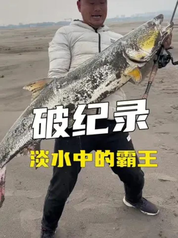 淡水霸王-鳡鱼破纪录了，路亚野钓最大巨型鳡鱼…#路亚野钓#鳡鱼#淡水霸王_高清1080P在线观看平台_腾讯视频