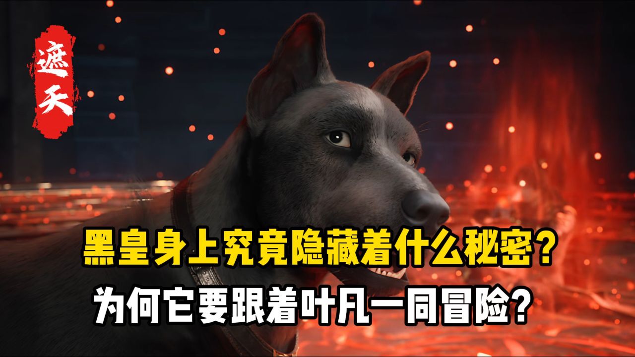 遮天原著:黑皇身上究竟隐藏着什么秘密?为何它要跟着叶凡一同冒险?_高清1080P在线观看平台_腾讯视频