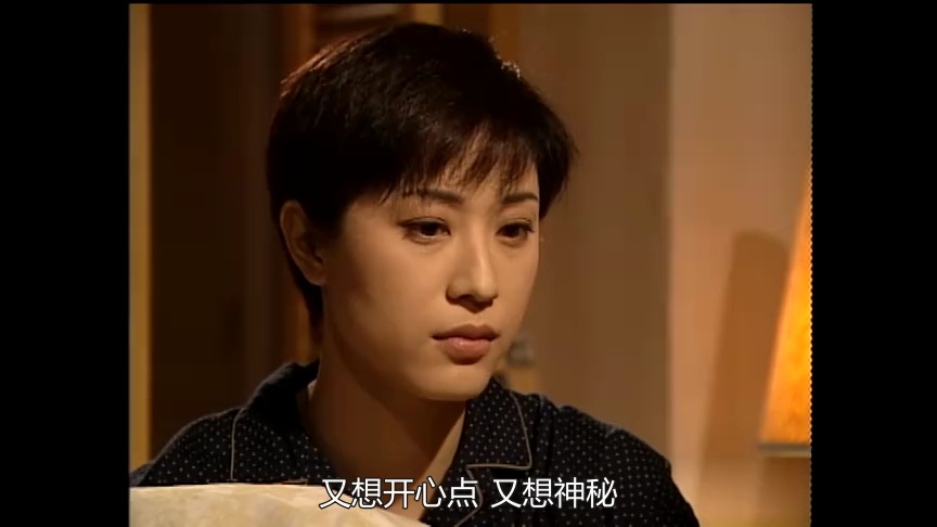廉政追缉令[粤语版] 11集