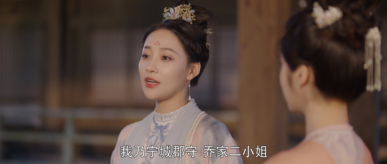 误入君梦 3集