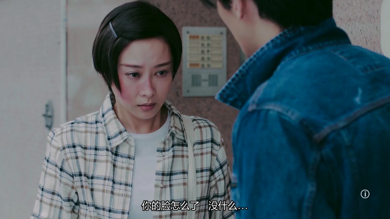 我家无难事[普通话版] 15集