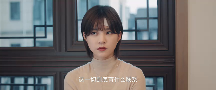 双面繁花 3集