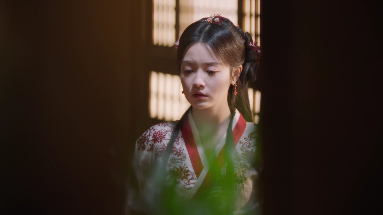 花颜劫 14集