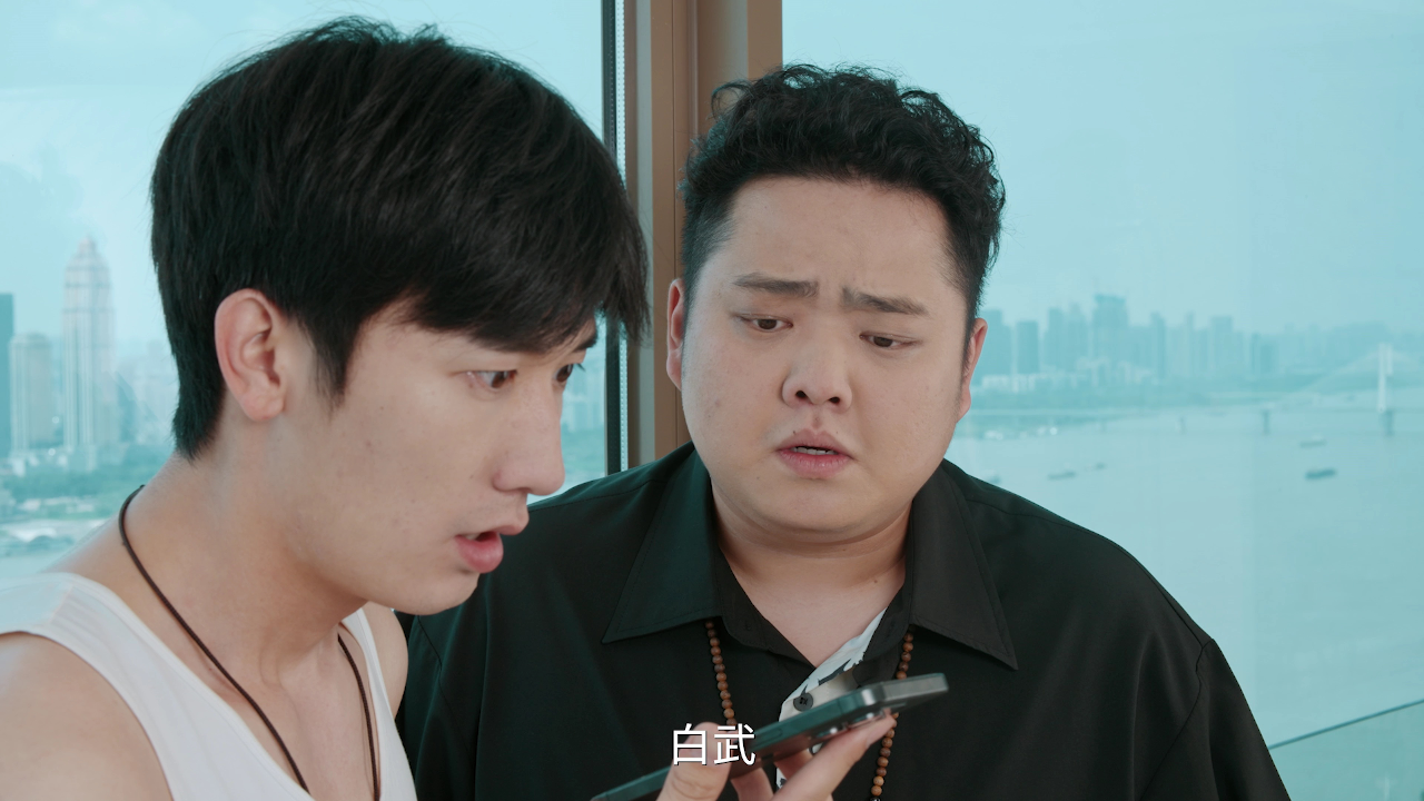 我能预见成功率 24集