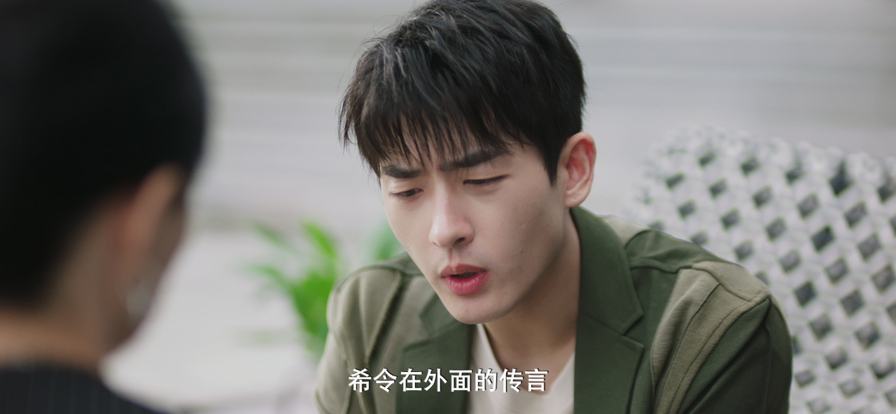 令总无恙 25集
