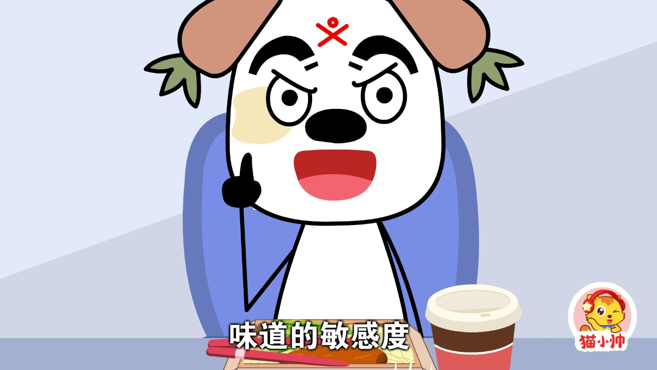 猫小帅十万个为什么 169集
