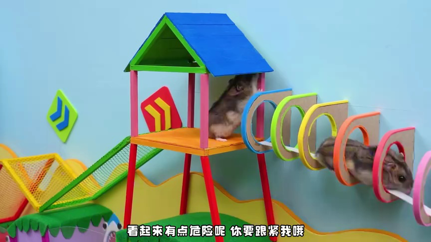 小仓鼠闯关乐园第二季 34集