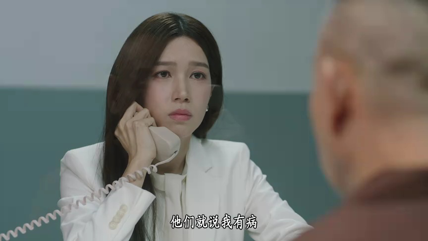 刑侦12[普通话版] 22集