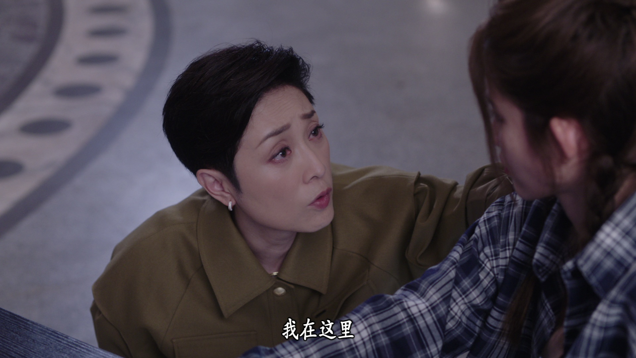 刑侦12[粤语版] 14集