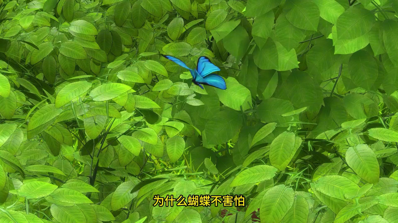 宇宙护卫队启蒙儿歌 3集