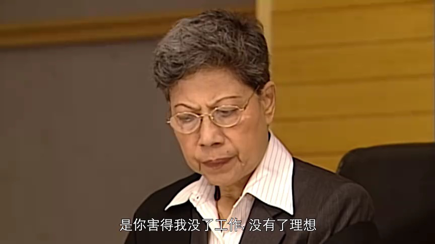 老婆大人[普通话版] 20集
