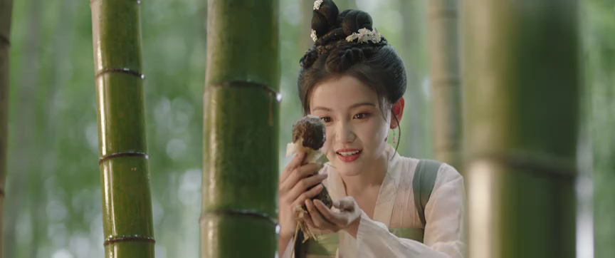 你是我的人间至味 1集