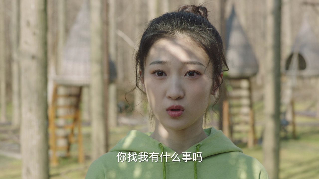 我是猎手 15集
