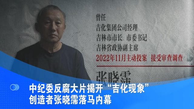 中纪委反腐大片揭开“吉化现象”创造者张晓霈落马内幕