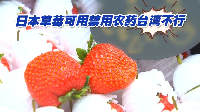 日本草莓可用禁用农药台湾不行,蓝营民代怒批:双标