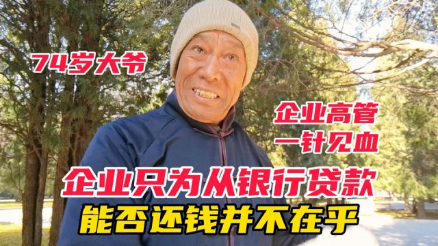 企业只为能从银行贷款,能否还钱并不在乎,74岁大爷一针见血