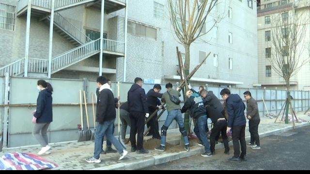 新城区:开展植绿增绿行动提升城市“颜值”