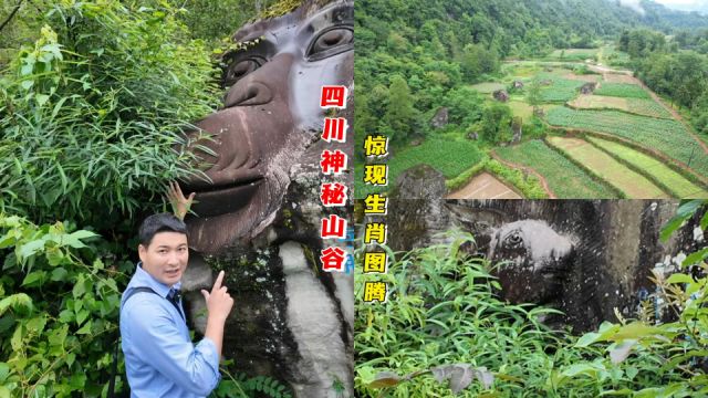 四川神秘山谷大发现,巨石惊现生肖图腾,快看看有你的属相吗?