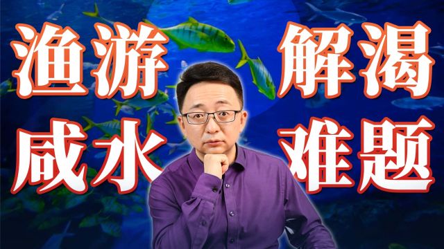 海水那么咸,海里的鱼怎么喝水?