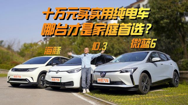 十万元买实用纯电车,微蓝6、海豚、ID.3哪台才是家庭首选?⠀