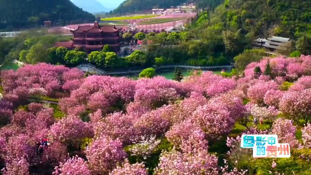 色彩中的贵州丨把风景当生活,万峰山居别样红