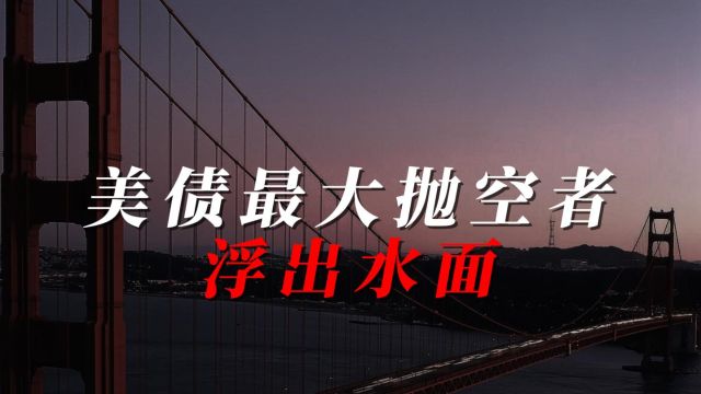 美债最大抛空者浮出水面,2年抛售1.2万亿美元,把全世界当冤大头