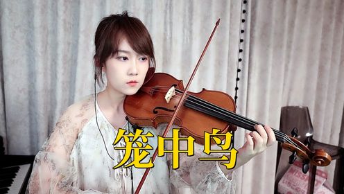 【揉揉酱小提琴】小提琴演奏周林枫《笼中鸟》小提琴版自制小提琴谱_高清1080P在线观看平台_腾讯视频