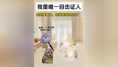 75:猫meme小剧场_高清1080P在线观看平台_腾讯视频