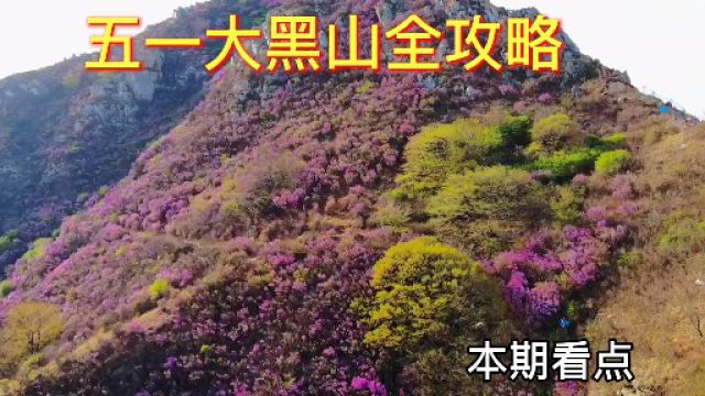 五一假期大黑山游玩攻略,杜鹃花海路线.这些变化20元门票值吗?