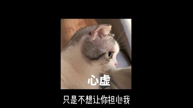 全国渣女统一话术.