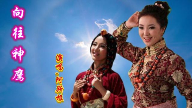 阿斯根演唱经典歌曲《向往神鹰》,大气嘹亮的歌声简直太霸气了!