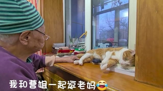 #老人与猫