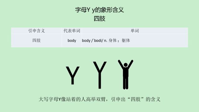 单词body(身体)中的字母Y像人的四肢