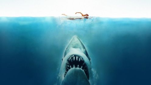大白鲨闯入沙滩浴场，疯狂袭击人类。