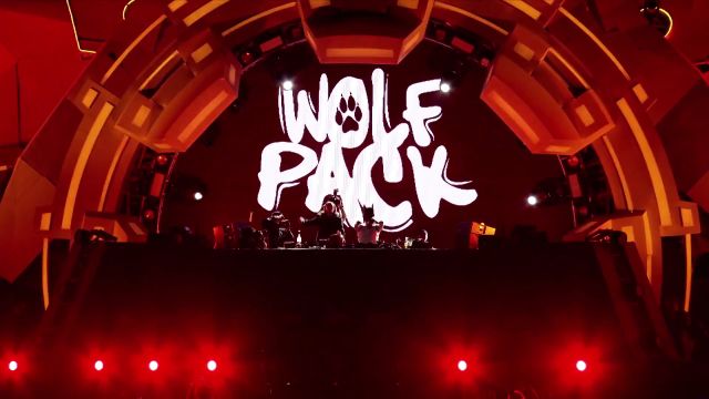 Wolfpack 中国梅塔特隆电音节演出现场