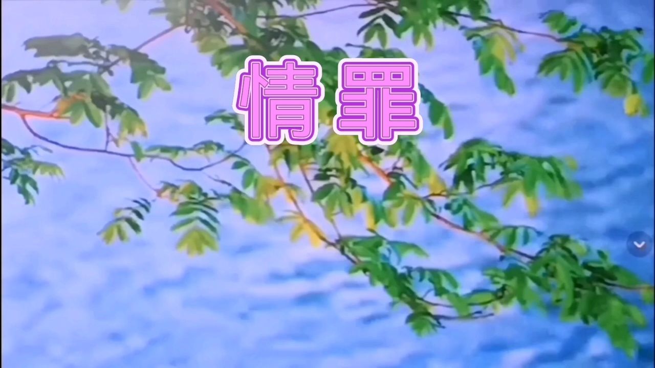 情罪 感谢各位朋友们的支持和关注