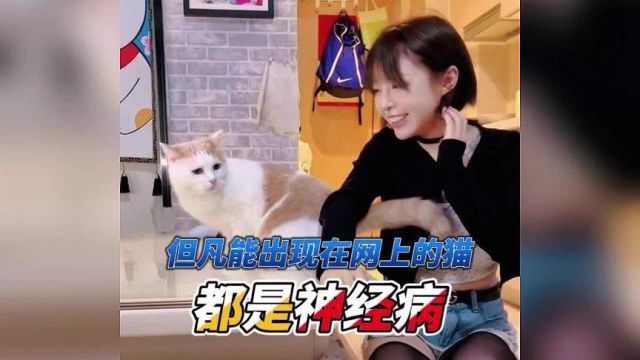 但凡能出现在网络上的猫多多少少都有点大病 #猫咪的迷惑行为