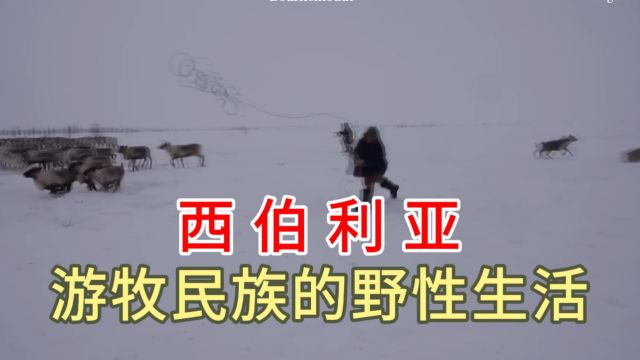 你不了解的西伯利亚游牧民族 逐水草而居放牧打猎的 原始野性生活