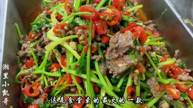 食堂大锅菜品 香菜牛肉做法简单 牛肉香辣鲜嫩 堪称下饭一绝