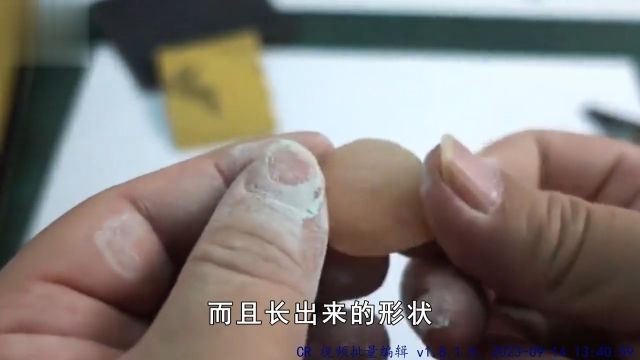 男子在购买的青鱼体内发现青鱼石,它真的值钱吗?该如何取出来? 1