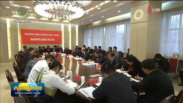 吴晓军参加省十四届人大二次会议海南代表团审议时强调 在建设现代化新青海新征程上书写海南发展新篇章