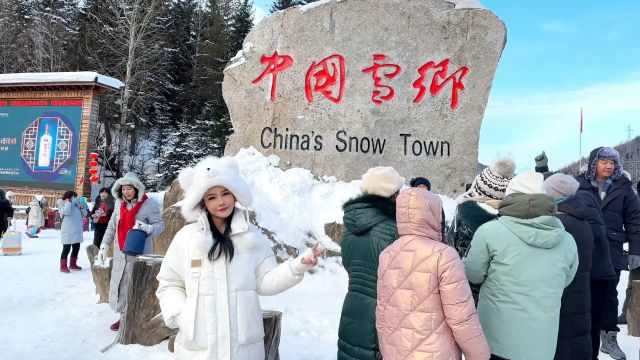 我的东北之旅的过程也太有意思了吧#旅行vlog #中国雪乡