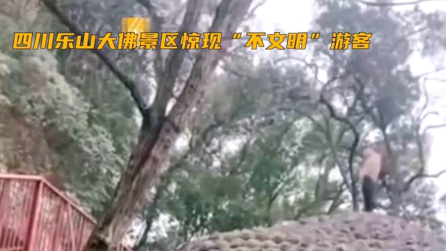 四川乐山大佛景区惊现“不文明”游客,竟敢站在大佛头顶撒尿!