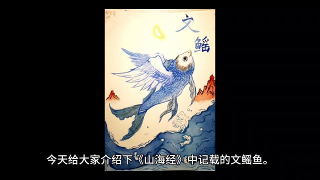 文鳐鱼#山海经