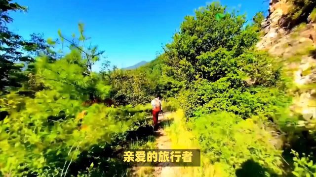 西双版纳旅游路线推荐